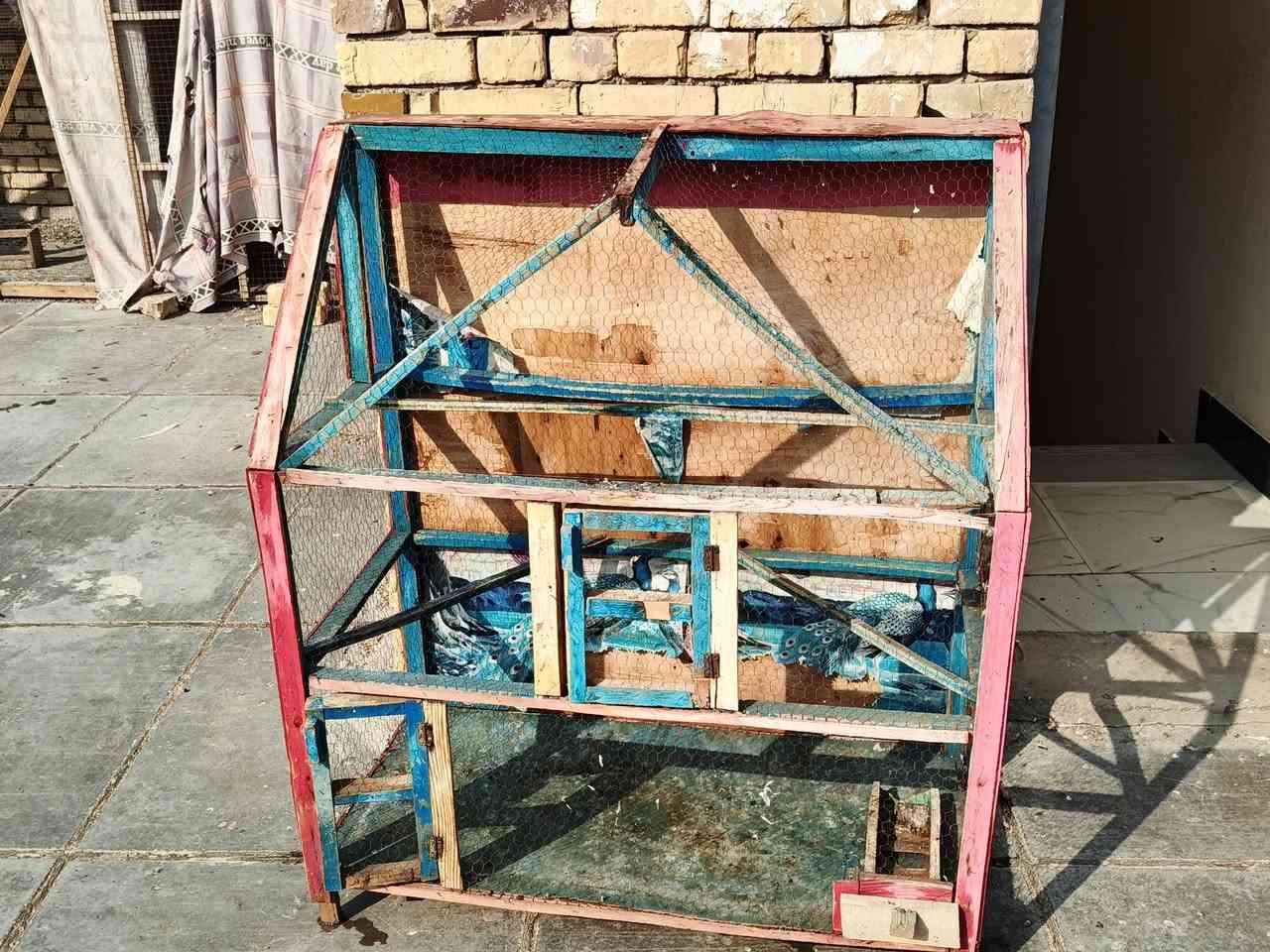 قفص • نضيف • شراي