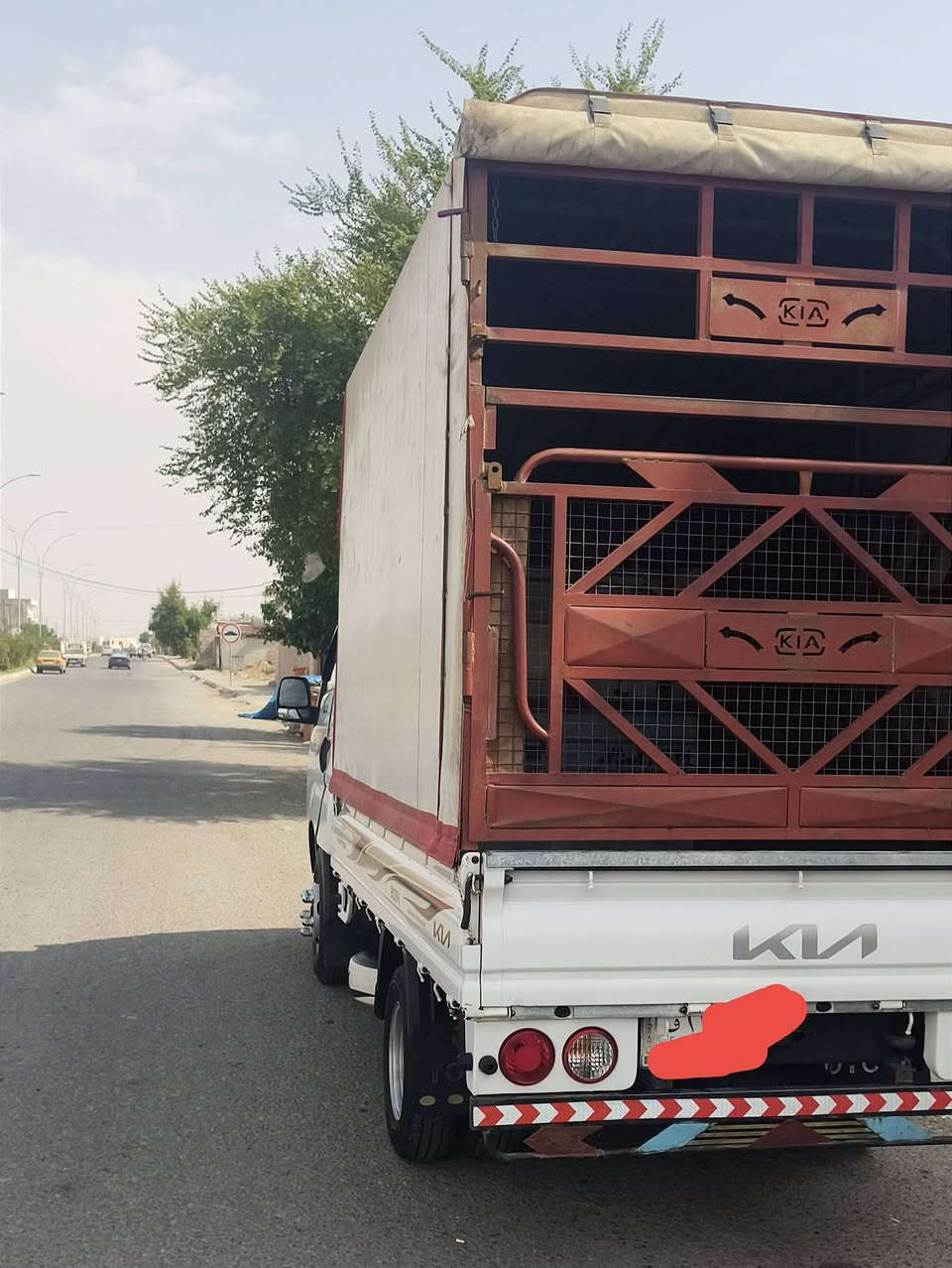 كيا حمل فحل • موديل ٢٠٢٤ • ٨٠٠٠٠ كم