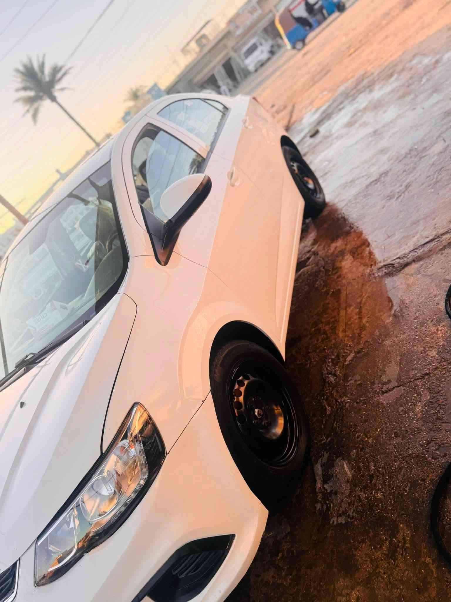 آفيو • ٢٠١٩ • رقم اربيل