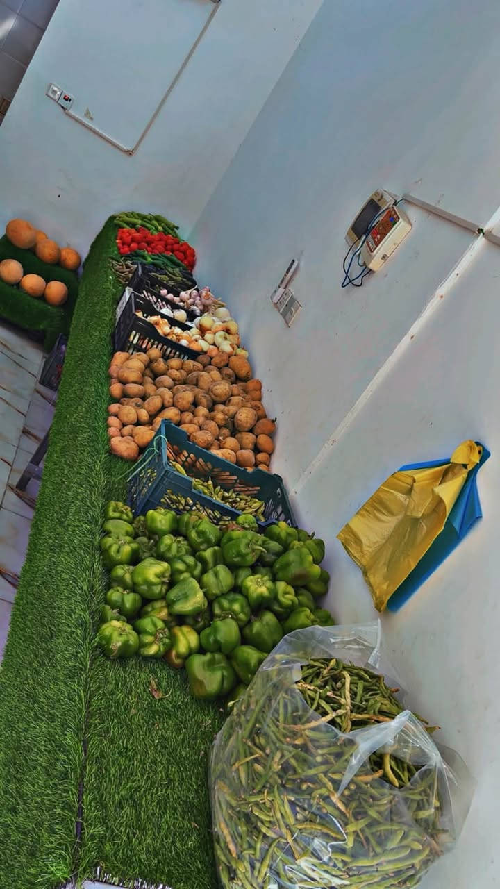 🌿 افتتاح بقالة غصن الزيتون للخضروات والفواكه 🌿

يسرّنا خدمتكم بأجود أنواع الخضروات والفواكه الطازجة، وبأسعار مناسبة وجودة مضمونة.

📍 الموقع: مجاور ثانوية حليمة السعدية، بجانب أسواق حسام.
يوجد خدمة توصيل 
***********
تواصل واتساب 

نتشرف بزيارتكم، ونسعد بخدمتكم يوميًا.
أهلًا وسهلًا بالجميع، وننتظر دعمكم ومشاركتكم للمنشور حتى يوصل لأكبر عدد من أهالي المنطقة. 🌹
