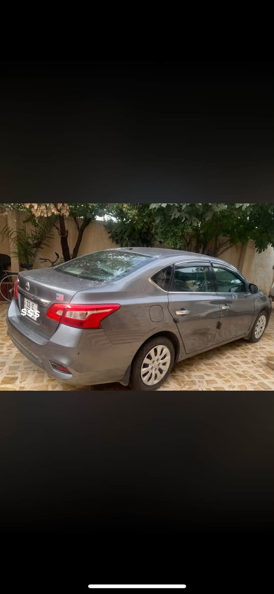 سنترة • ٢٠١٧ • ضرر