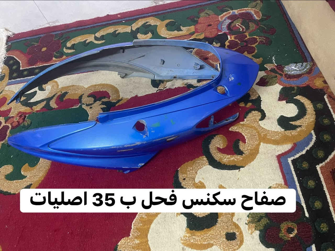 سكنس فحل • اصلي • المشتل