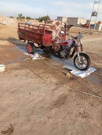 ستوته • بدون وراق • محرك جديد