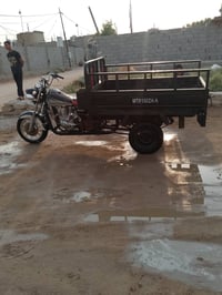 ستوته • مديل 15 • اوراق اصولي