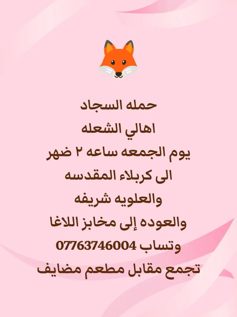 حملة السجاد • كربلاء • النجف