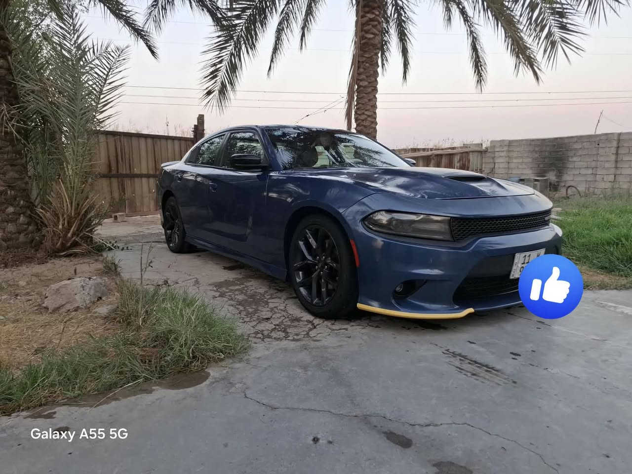 السلام عليكم جارجر 2021 كير مكينه حداديه تخم تاير تبريد سياره جيتي بلاص شفتات ستيرن كشنات حضن ماشيه 63 سياره فول عده الفتحه حادثه بامريكا جاملغات وبنيد وبل عراق بيبان شدوف سياره شتخدام شخصي خير من الله السعر 220 وبيه مجال العنوان بغداد رقم سنويه جديد تحويل ثاني يوم ***********
