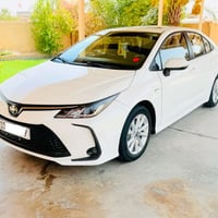 كورلا هايبرد • ٢٠٢٥ • رقم بغداد