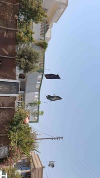 حلة نادر الثالثة • ١٦٧م • طابو