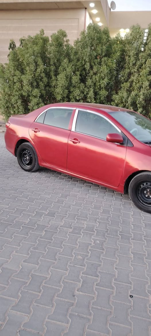 كورله 2009 وارد امريكي كل ضربة دواخل مابيها بيها خمس قطع جاردات ابيع كصبغ حزام بدون دواخل كير ومكينه جدد حداديه وتخم جديده تبريد تدفئ وضع شركه تريد تحويل تريد وكاله مضمونات  مكينه 1800 السعر75وبيها مجال مكان السيارة نجف للاستفسار والاتصال ع الرقم ***********
كورله 2009 وارد امريكي كل ضربة دواخل مابيها بيها خمس قطع جاردات ابيع كصبغ حزام بدون دواخل كير ومكينه جدد حداديه وتخم جديده تبريد تدفئ وضع شركه تريد تحويل تريد وكاله مضمونات  مكينه 1800 السعر75وبيها مجال مكان السيارة نجف للاستفسار والاتصال ع الرقم ***********
