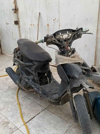 فراشه • شغاله • كامل