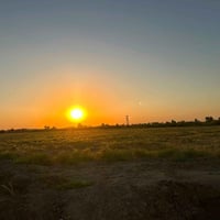 المحمودية • دونمين • واجهة ٥٠م
