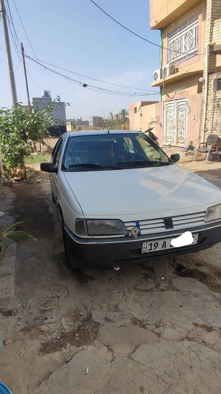 بيجو روا • ٢٠٠٨ • رقم كربلاء
