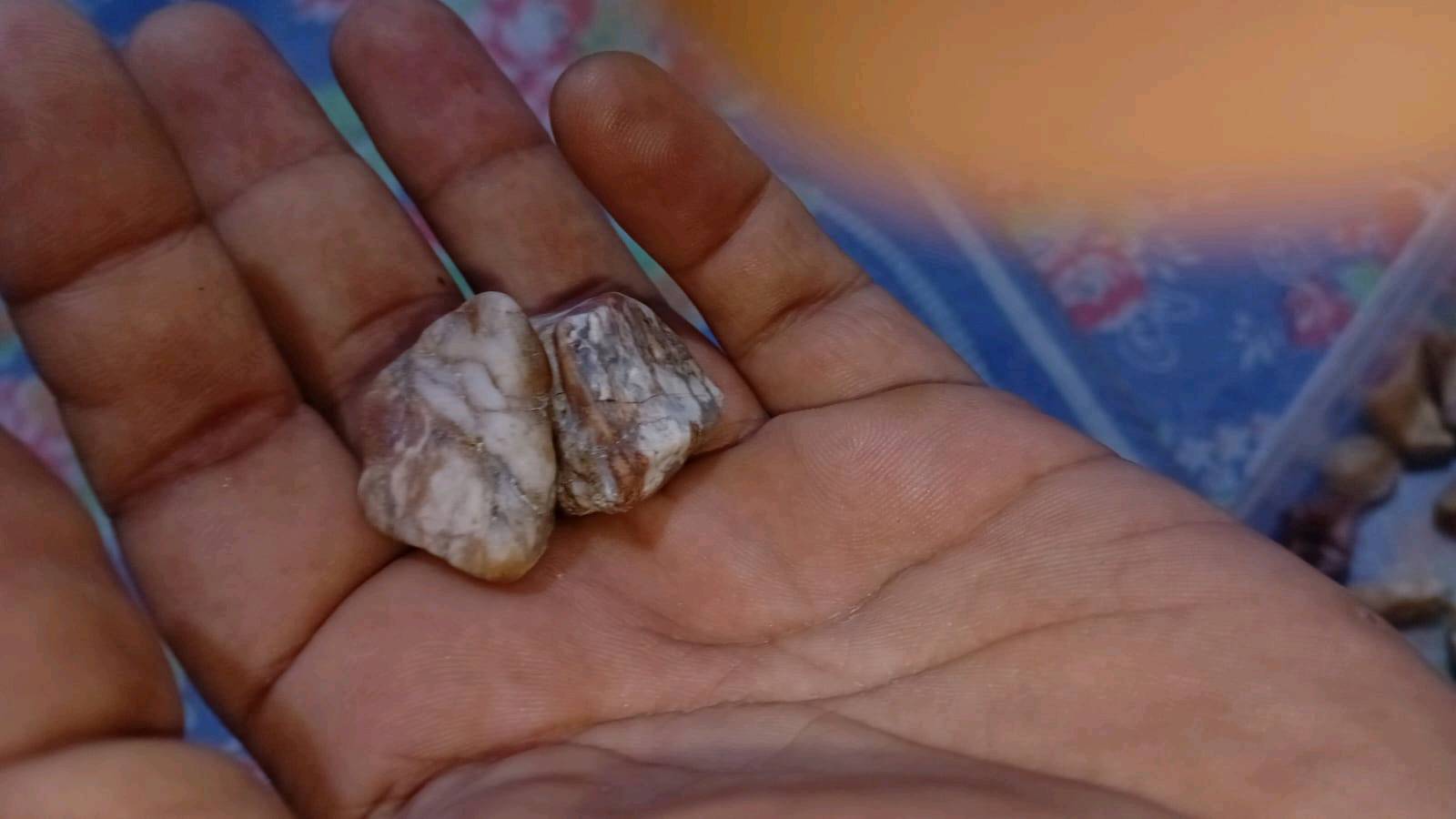بصره زبير