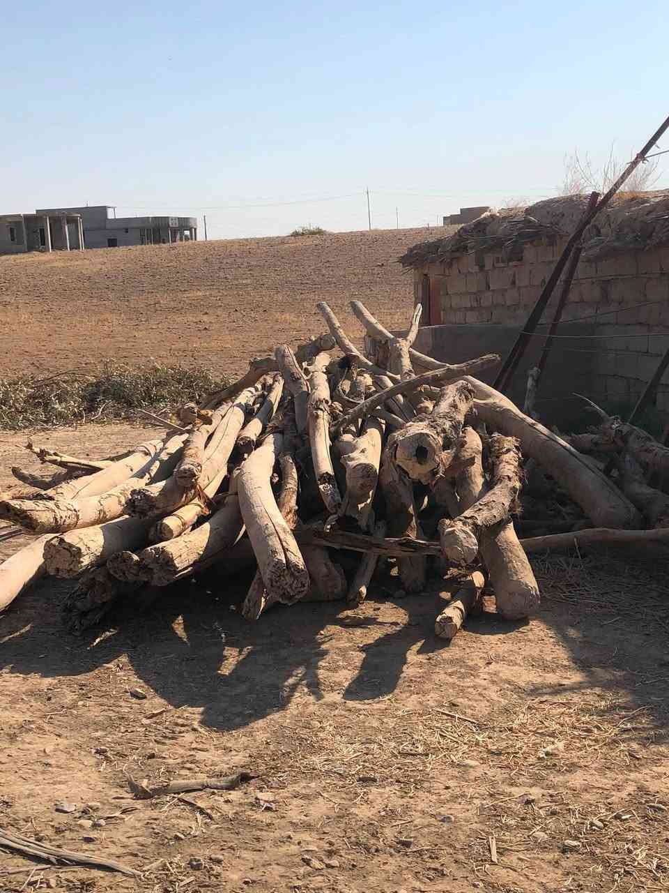 حطب  يابس للبيع مو مال بس شوي سمج دجاج لاتصال ‭***********‬
