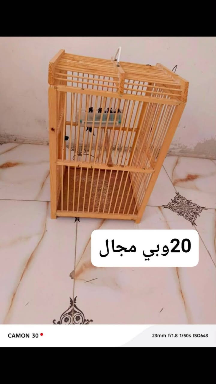 غراض كلش مستعجلين علة بيعتهم ميز بلازمة 100وبي مجال وكلهن بيهن مجال ان شاء الله ميقصرون وياكم تصلو وتدللون طبلات اكو ام 5ب70وبيهن مجال وام3ب75وبيهن مجال تخم عشر مقاعد ب400وبي مجال وثرية زاوية 35وبيهة مجال لمكان خاجية شارع اربعين مستعجلين عل بيعة ***********
