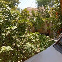 حي العسكري العابد • ٢٥٠م • ٥ غرف