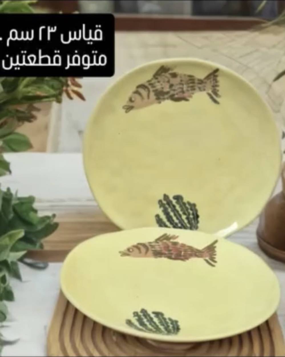 مواعين • متنوعة • بغداد