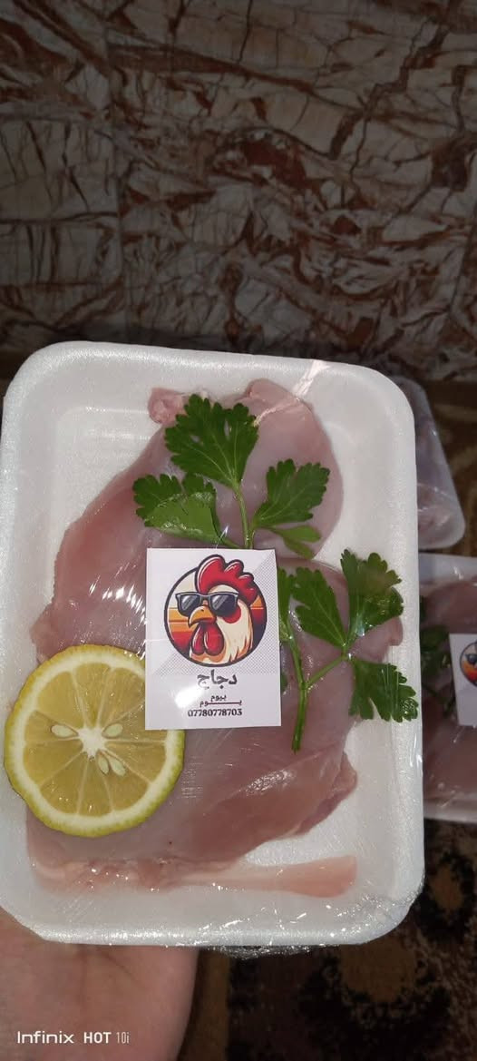 دجاج يوم بيوم • مقطع/كامل/نص • بدون تبريد