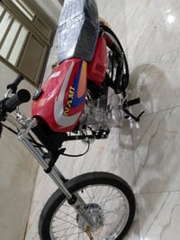 ياباني • سكنس • مكفول