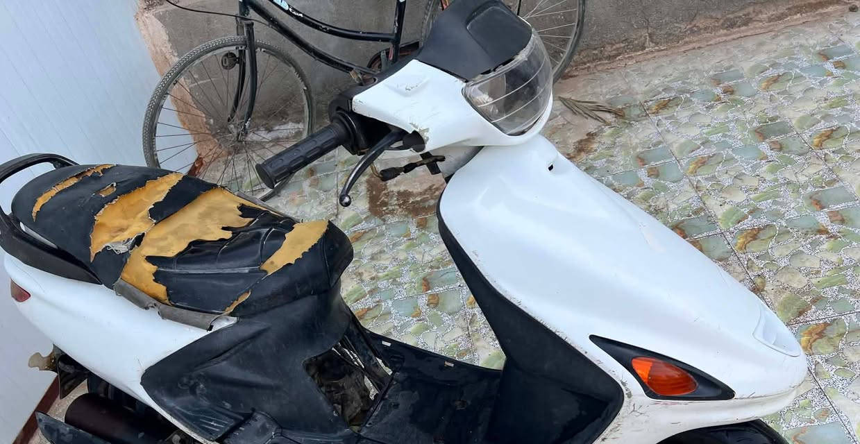 فراشه فحل اليوم طلعت من تجفيت شغل درجه أولى قايش جديد دراجه جاهزه السعر 250 وبيها مجال الى استفسار *********** العنوان نجف ناحيه الحريه
