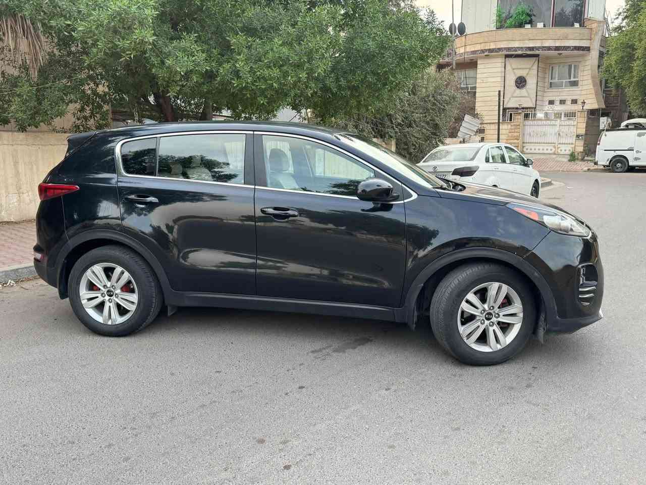 سبورتج • ٢٠١٩ • وارد امريكي