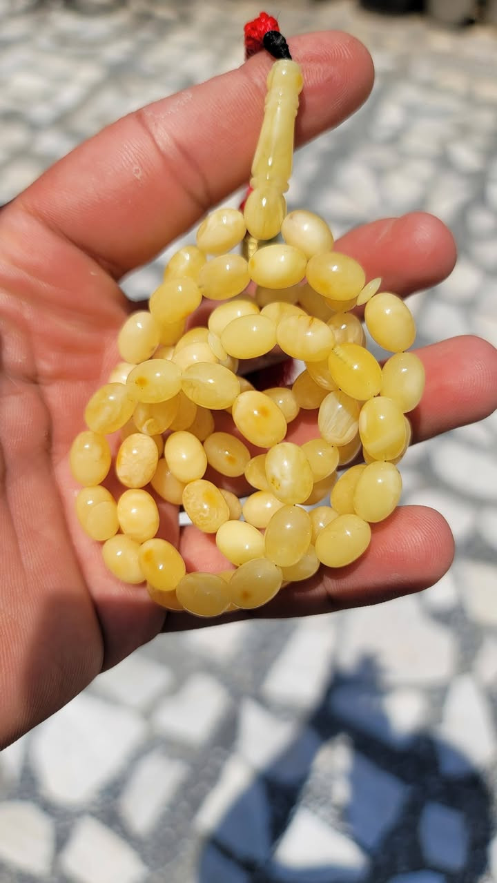 كهرب بولندي حر طبيعي مشجر كصه بيض الحمام الوزن 27غرام عدد الخرز 72 الشاهد استندر المسباح خالي من اي ضرر ***********
