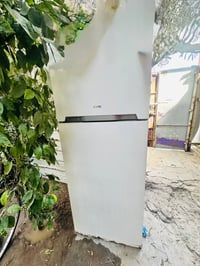 فستل • ٢٤قدم • عاطله