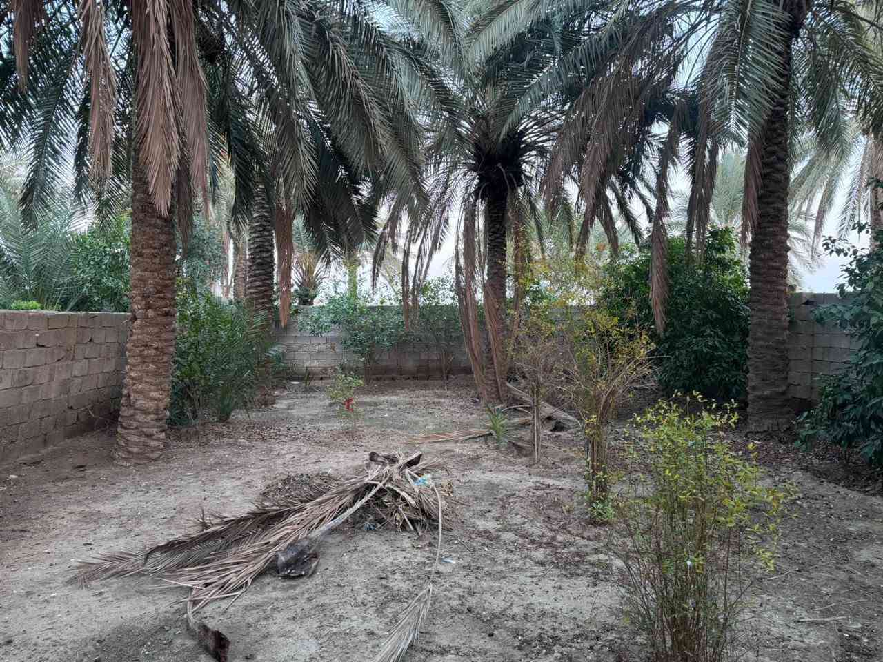 دار سكن للبيع تتكون من ٣غرف نوم٤×٦ واستقبال ٨×٤ وصاله ٦×٦ حمام عدد٢ مطبخ ٥×٤ مساحة البناء ٣٠٠م مع قطعه سكن خلف محطة وقود الشحيمية  الوجه على البزل  للإستفسار الاتصال على الرقم *********** او***********
