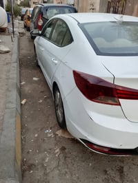 النترا • ٢٠١٩ • وارد امريكي