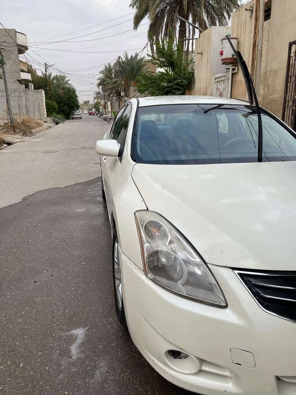 التيما • ٢٠١٢ • رقم سليمانية