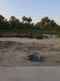 سنتر عل الشط • ١٨٠٠م • طابو صافي