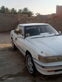شيزر • ١٩٩٢ • باسمي