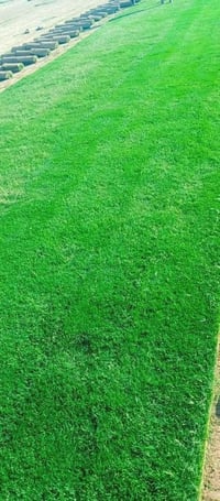 زراعة بساتين • ملاعب وحدائق • البصرة