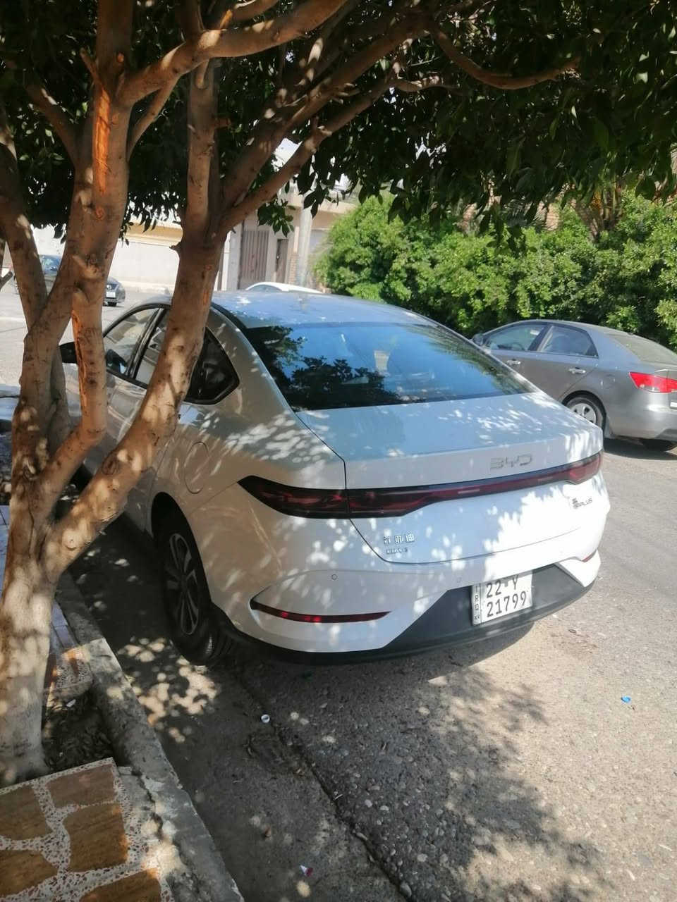 بي واي دي • ٢٠٢٥ • ١٠٠ كم
