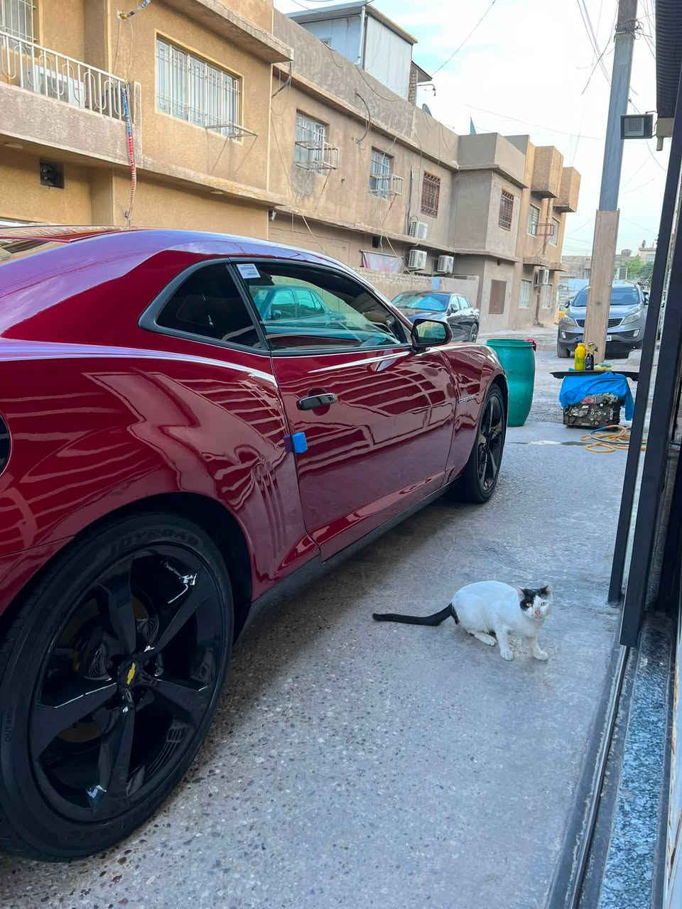 ١٠٧ ورقه 

 اجدد وانظف ١٤
٦ سلندر ٣٦٠٠
السياره باسمي شخصيا
دوشمه ٩ طارق جديده
جاهزه هزه ورقم جديد
كامله بدون اي نقص
بيع بدون مراوس
السياره كلش نظيفه 
موديل 2014
محرك 6 سلندر 
لون ماروني
شاشه
كراسي كهرباء
تحكمات ستيرن 
تبريد ثلج 
صدر امامي خلفي نظيف 
سستم صوت 
شفتات سرعه  
ويل 20 
بجم زنون 
السياره كلش مميزه ونظيفه  
مكان السياره بغداد الجديده 

سعر السياره ١٠٧ ورقه 

*********** واتساب
اذا مجاوبتك راسلني واتساب
واني الممنون 🌹

نص مكتوب في الصور:
- طارق لتجارة السيارات ***********