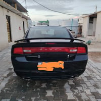 جاجر • ٢٠١٤ • البصره