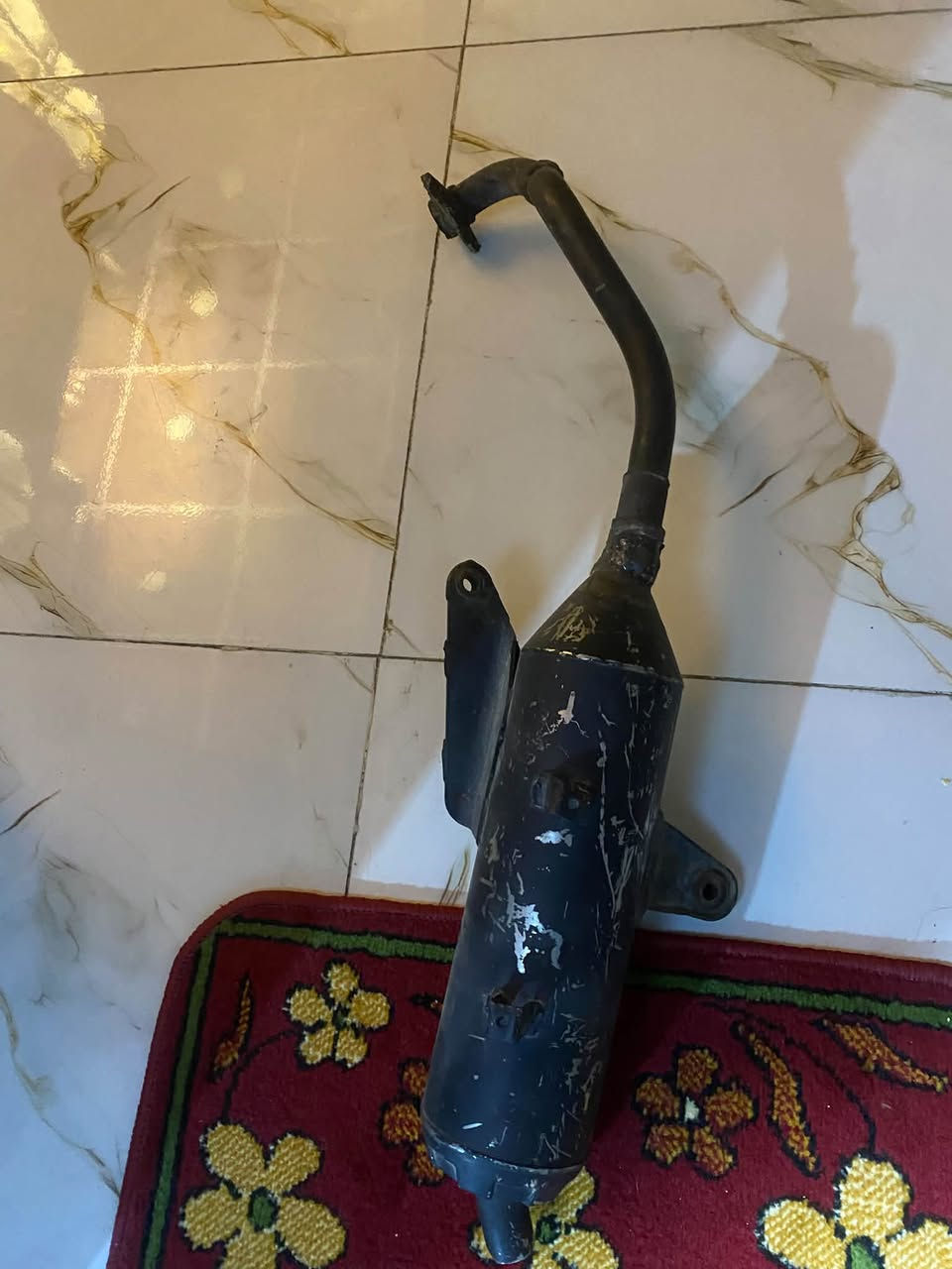 صالنصه • فحل • حي جميلة