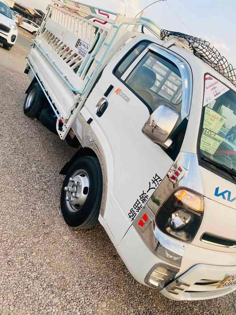 حمل فحل • صبغ عام • ٢٠١٦