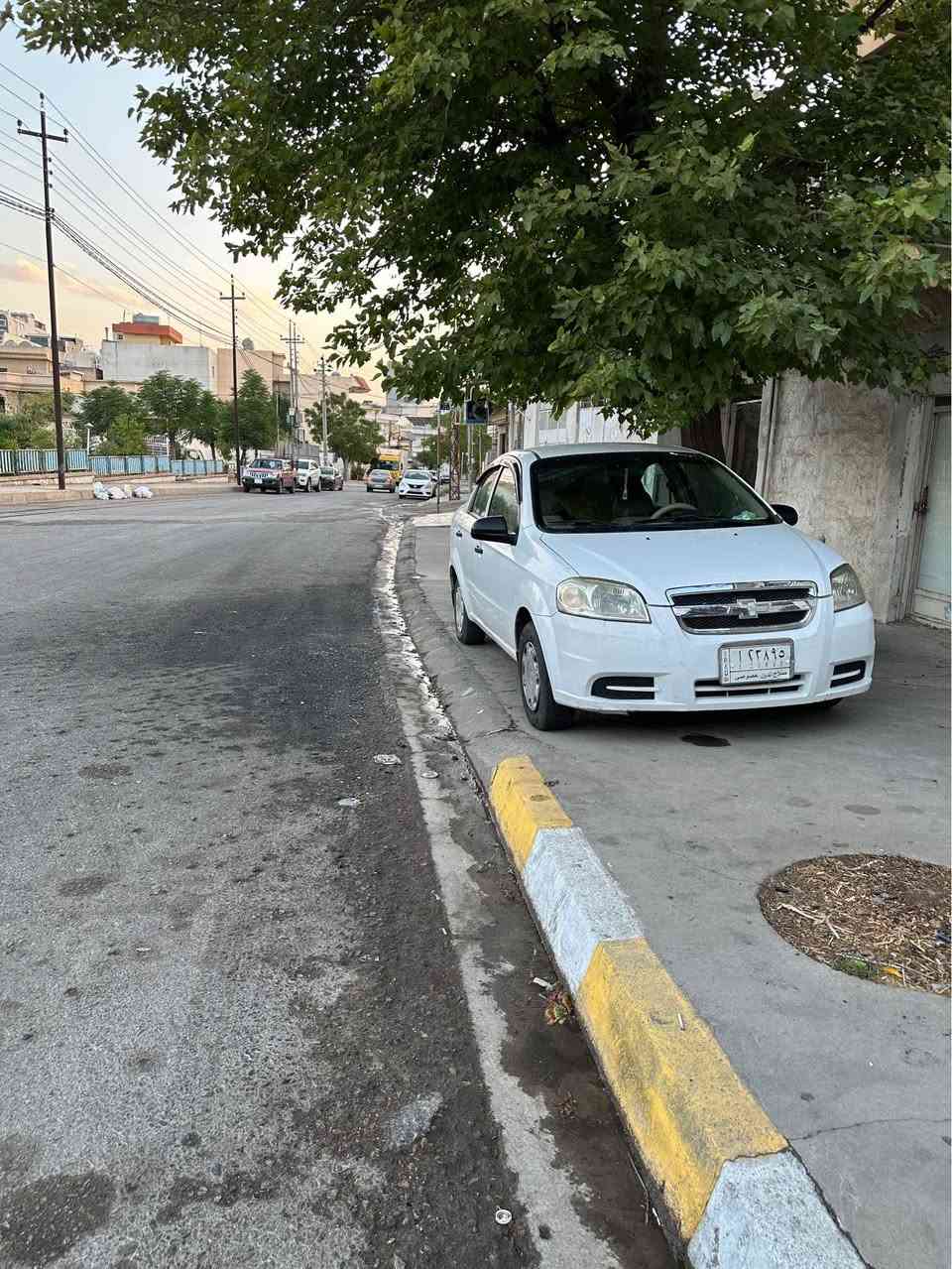 افيو ٢٠١١ • جير عادي • زينيون