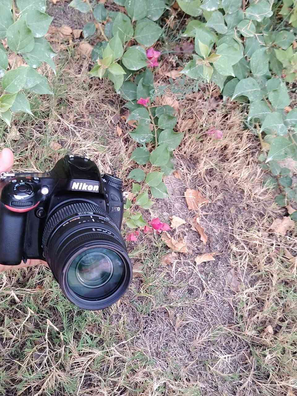 نيكون D610 • فل فريم • النجف الكوفه