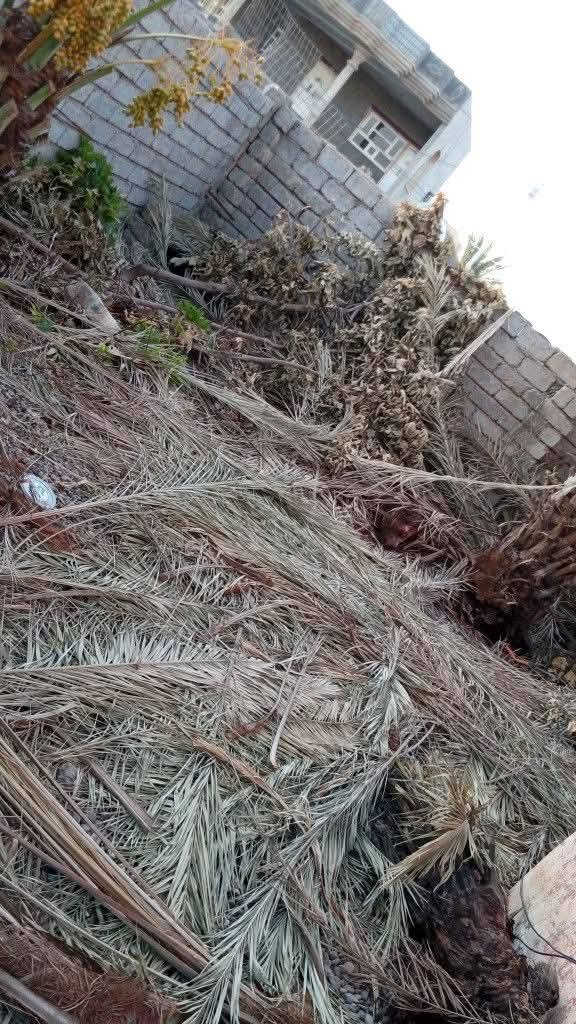 السلام عليكم وين اهل التنانير الوحل عندي حطب رمان وتين وسعف ونخل مقطع كامل ويابس انطي بلاش بس يجيب كيه وياخذو بلاش
هاذا ***********رقمي الشرقاط بعاجه
