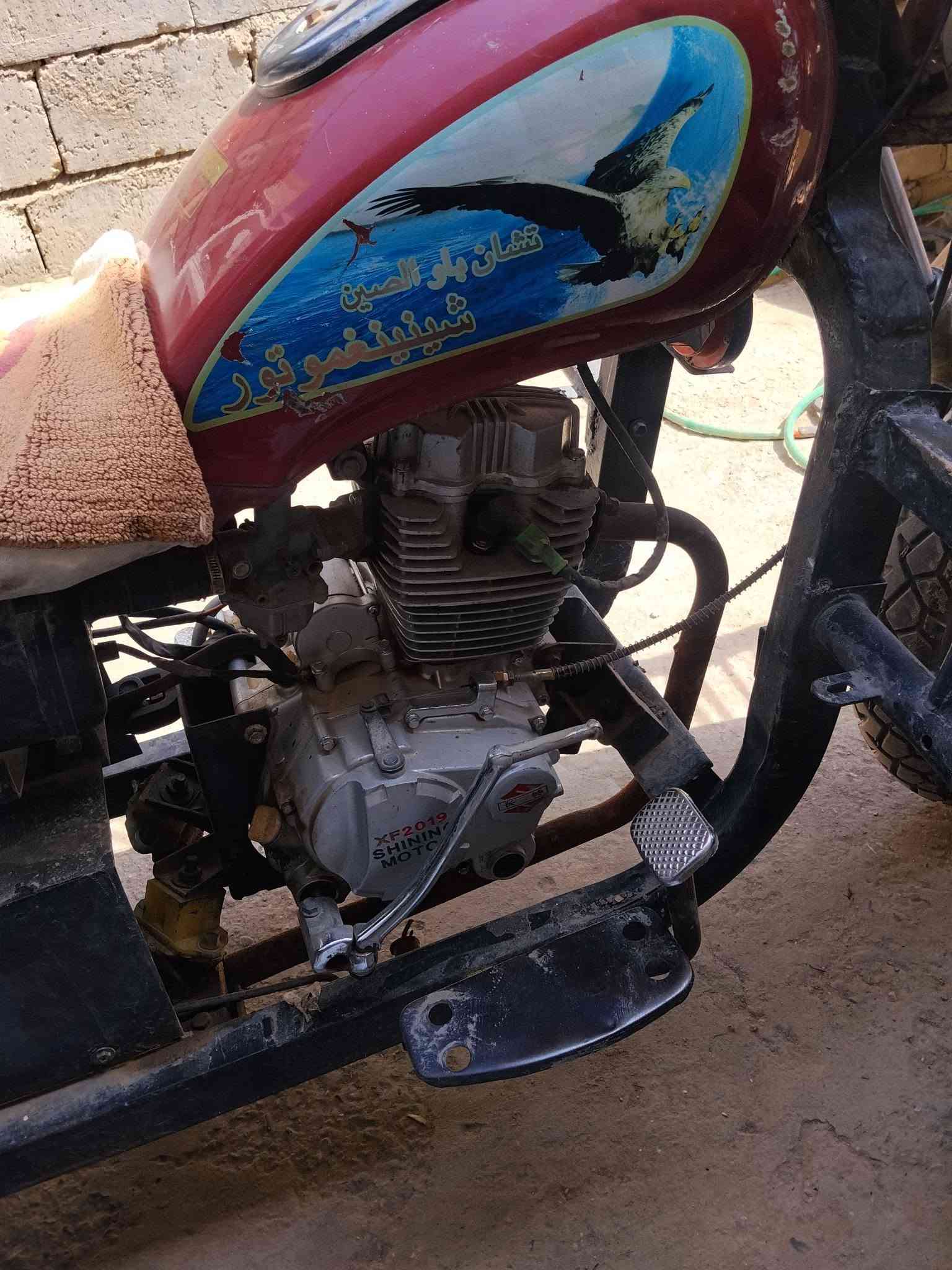 السلام عليكم  ستوته البيع رقم سنويه مكانها بابل الهاشميه *********** السعرتصل
