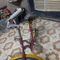 باسكل بناتي • حجم ٢٧ • فحل