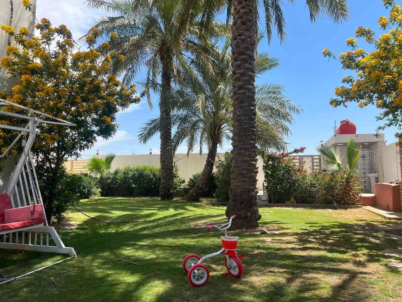 دار للبيع طابو زراعي سند 25 مداور ثاني يوم مساحت البيت 180 مساحت القطعه 300 بصف الدار قطّعه المساحه 300  المساحه الكليه 600 الشارع طابو صرف عرض الشارع 10 متر الدار يحتوي علا غرف ثنين المكان الحمزه الغربي حي بابل قرب التبليط الجديد بصف￼￼ ￼ السايلو مقابيل معرض كرار سعد ملغيط للاستفسار التصال *********** ￼￼
