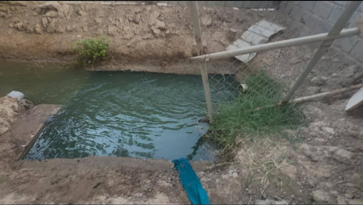 دار سكن قاطين  مع ارض زراعية للبيع 
مو بيت عباره عن فيلا ماشاء اللّٰه يتكون من ٤ غرف منام وديوان
جنس العقار عقد سند ٢٤ 
#المساحه الكليه دونم و ٤٠٠ 
يحتوي القاط الاول على غرف منام 2 واحدة منها تحتوي على سويت 
و استقبال كبير بمساحة ٤*٨
و مطبخ 
ومنور 
وصاله و وصحيات داخلي وخارجي
وكراج سياره يسع 5
وحديقة امامية بمساحة كبيرة 
اما القاط الثاني يحتوي على غرف منام ٢ 
بستان بمساحة كبيرة 
يحتوي على مخازن عدد ٢ 
وحقل للأبقار بمساحة كبيرة 
ويحتوي على ٥٠ نخلة ٣ منها بربن والباقي خستاوي وزهدي 
وتين بني مسلم 
وموطورات ٢ للسقي واحد على النهر حول البيت 
والثاني على البزل وقريب جدا من البيت 
العنوان : كربلاء _ الحر _ السوادة _ قرب سيطرة البزل 
موقع راقي •
جميع الخدمات متوفره ماء كهرباء شارع تبليط 
شغل البيت كله درجة أولى مع مولدة شارع 
السعر ١٧٠ وقابل للتفاوض 
للاستفسار الاتصال  ***********
