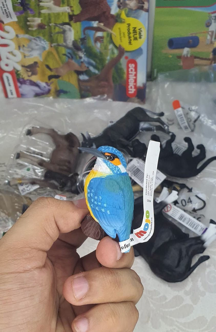 أول شحنة • حجز مسبق • جمال القطع