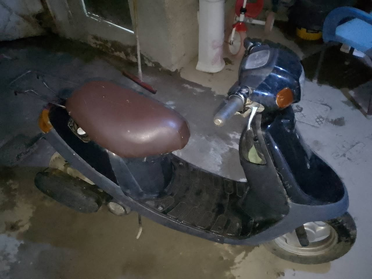 بطه بلاديه • فحل • نضيفه
