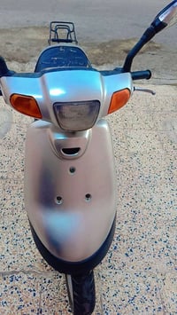 بوتين • نضيف • كدام العين