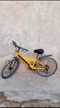 بايسكل • حجم ٢٤