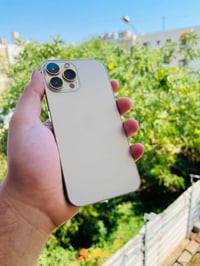 ايفون 13 برو ماكس • ٢٥٦ • ذهبي